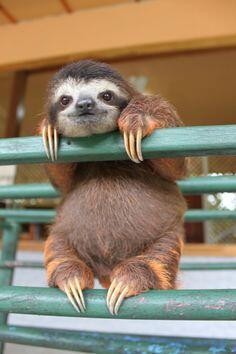 debyroy's tweet photo. Happy Sunday!! #long #weekend @RoyAmanda @lyshilou @TheKingRoy24 @whitford_ashley @healz12 @beekzzz #LUALL http://t.co/bRFOmXoCF9