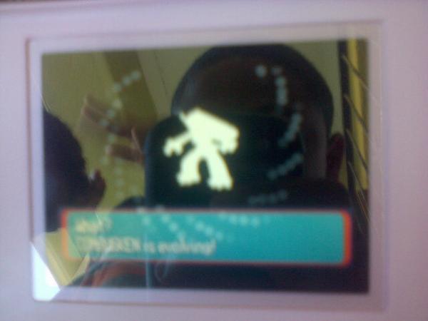 poke_devon's tweet image. OMG dudes my Combusken evolved into a Blaziken