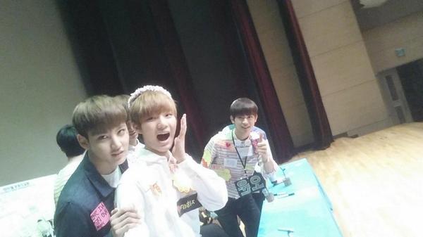 헤일로(HALO) 🎗 tweet media