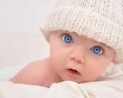 BIABAS1 tweet picture