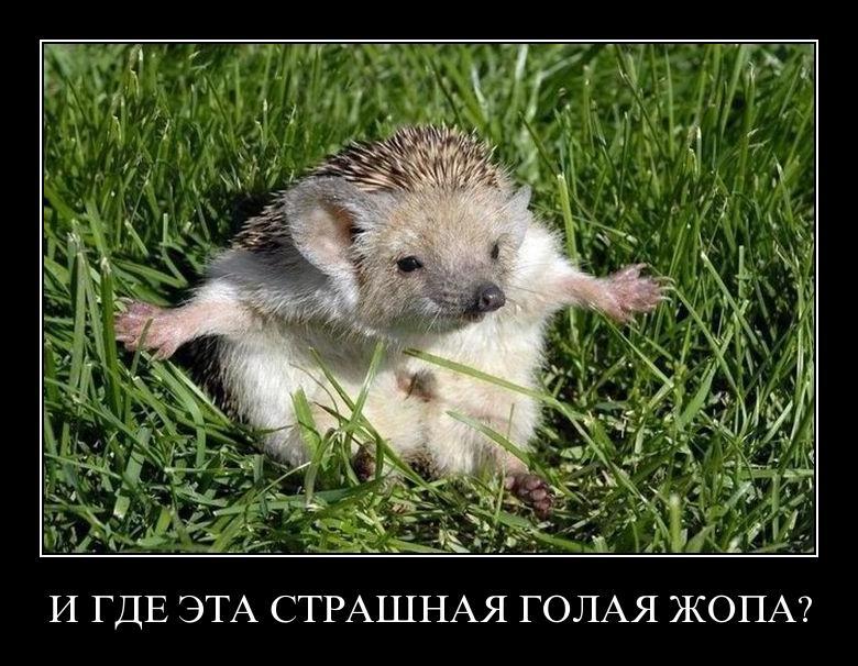 BwYag-HIEAAXkBK.jpg:large