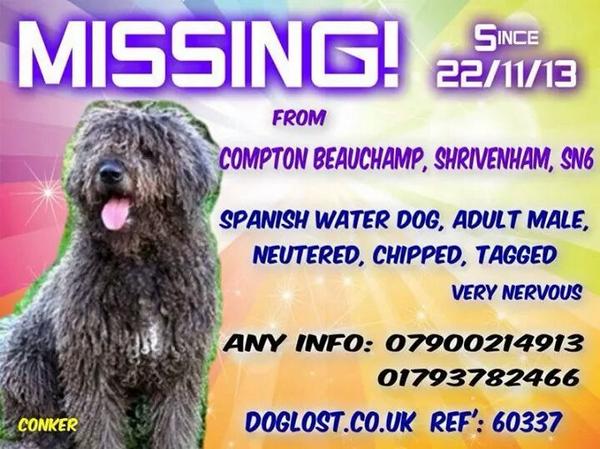 @msm4rsh please share and help bring conker home xxx