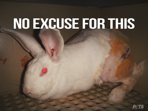 PETAUK's tweet image. Testing on animals is cruel and unnecessary 😡
It's time for us to evolve beyond this outdated practice and use methods that don't harm animals! 🐇