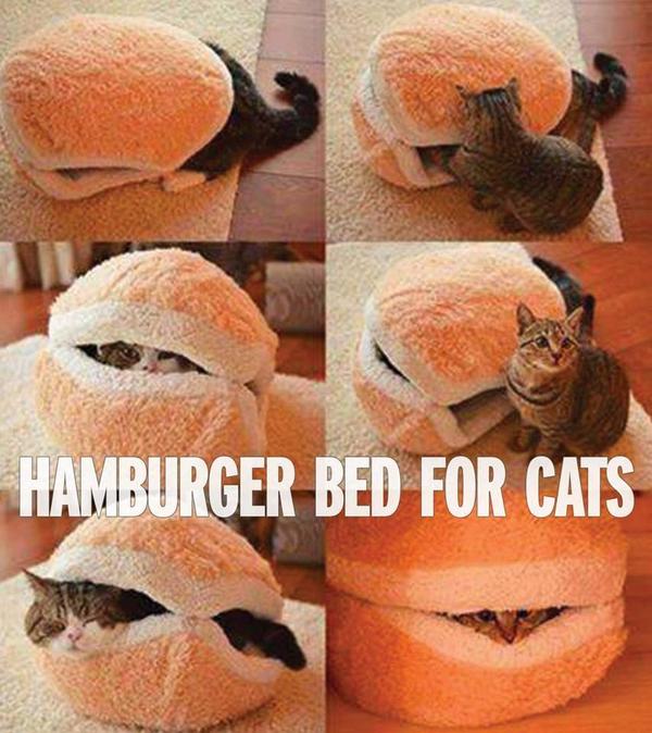 ToniMareexx's tweet photo. @pewdiepie Can this just be a thing ? for hoomans !? http://t.co/FHMtCRtdFV