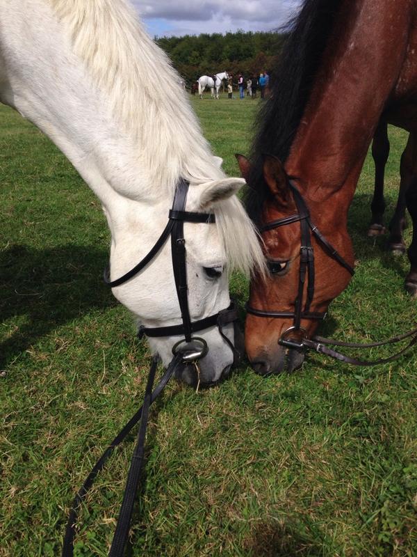 @LilShaks <a href="/baker_siobhan/">Siobhan baker</a>