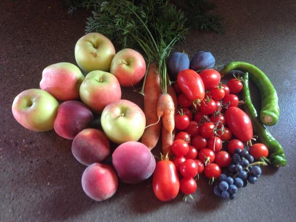pskin588's tweet photo. Some organic treats from the garden #farmlife http://t.co/59czEET5nk