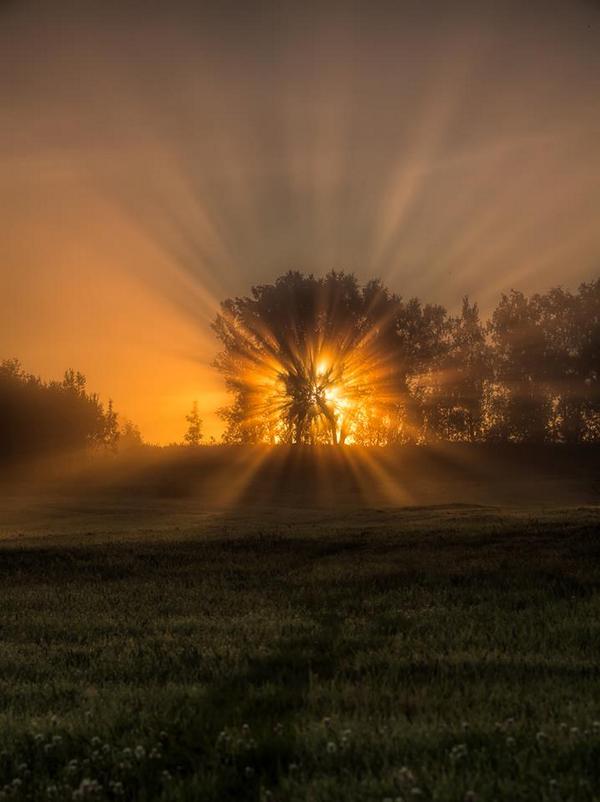 CanonEspana's tweet photo. Cuando iluminas el sujeto por detrás se cambia el ambiente. ©Anders Hanssen ¡Comparte tus #fotos #retroiluminadas! http://t.co/PAp6BuRrsc