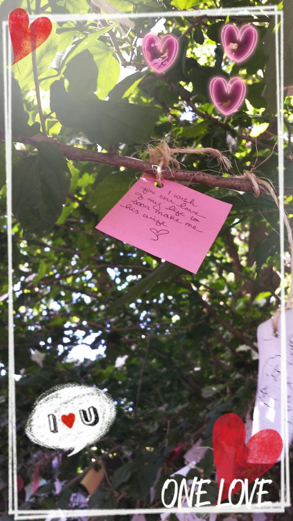 The wishing tree at the #pittsburghirishfestival #DECOPIC