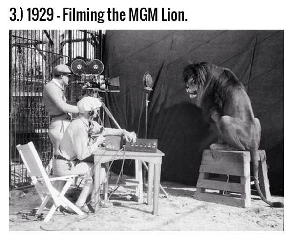 MaheshNBhatt's tweet photo. This is where the MGM Lion roared. http://t.co/dWI7W41u6M