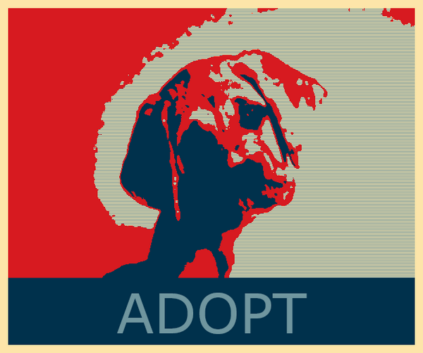 Krishnashram's tweet photo. #ADOPTdontBUY before his identity fades up #TakeHomeACompanion
for adopting please visit us on:http://t.co/byImmGf6B6 http://t.co/bqjgyNfMya