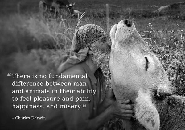 zbleumoon's tweet photo. #MeatlessMonday #love #animals #anipals 
🌸🍃🌷 Ł❍℣€ 🌷🍃🌸   https://t.co/WJPyTwcPPh