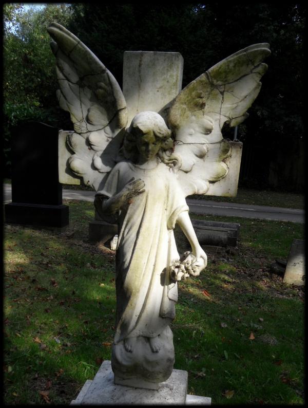 BabyJaneHudson_'s tweet photo. Angels! #Angels #GraveyardArt #CemeteryArt http://t.co/nKKAcD9LYa