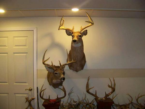 More customer pictures with the Timber-Loc.