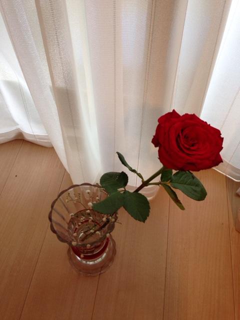 umetan70's tweet photo. 無事に高崎に持ち帰れたよ(^-^) http://t.co/7XqWALNPr0