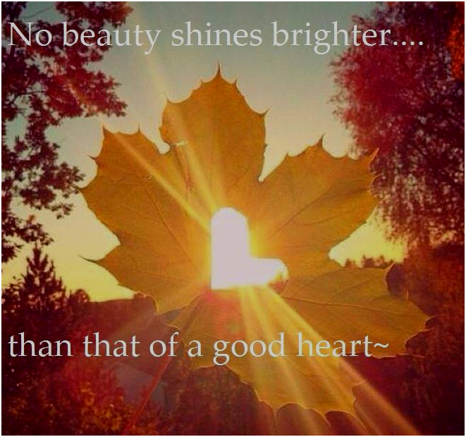 Hi Crowdkind May You Shine Bright Today In The Lives Of Others Shine Bright Http T Co 5igkgr0pvx Twitter
