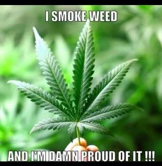 IegaIization tweet picture