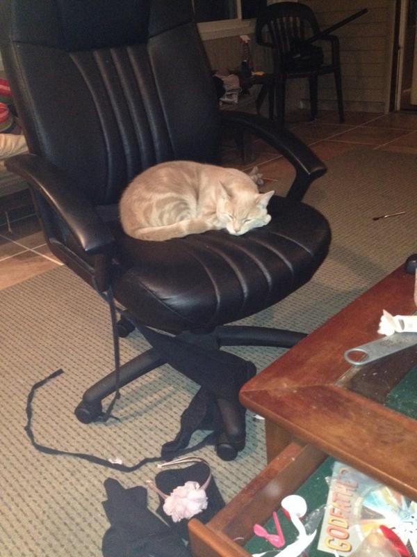 jej2121's tweet photo. He's tired of waiting lol http://t.co/noPbpYH3Ar