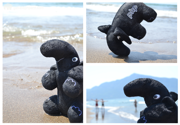 php_elephant's tweet image. 