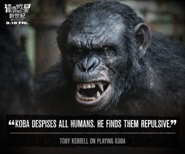 猿の惑星 聖戦記 グレート ウォー コバは全ての人間を毛嫌いしている 彼にとって人類は不快な存在である 猿は決して忘れない 猿の惑星 映画 Http T Co Tanyqsiphu Twitter