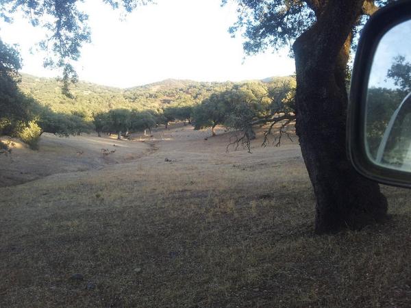 Mirar lo que vi ayer la primera gama es negra