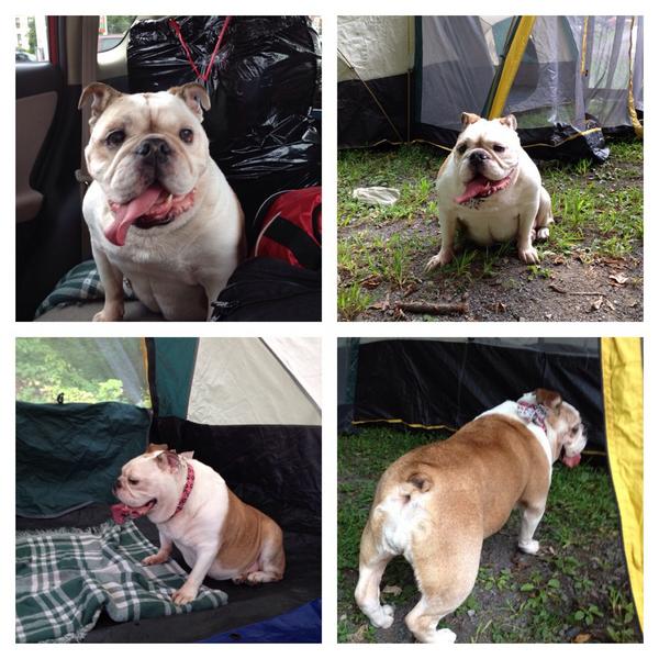 PeachyKeen57's tweet photo. M&D hijacked me! No comforts, wifi #takenehome 😩😩😩😩 Oh da woe http://t.co/aSdti6USc4