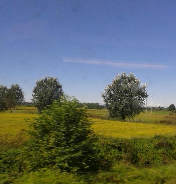 Villamaggiore (Mi)-Italy Sept.1st.
Countryside at noon.