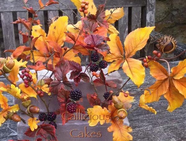 bakesntreats's tweet photo. On a Flowery note, here are some beautiful Sugar Autumn leaves,berries&nuts made by #CalliciousCakes. #autumn #season http://t.co/lRFY8zyzh9
