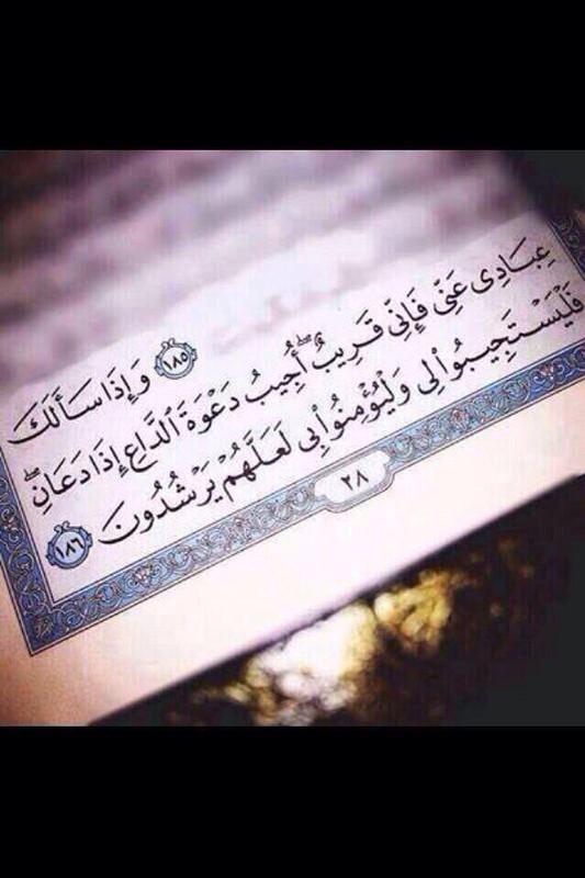 Aboud Al-Asiri (@albasl886) on Twitter photo 