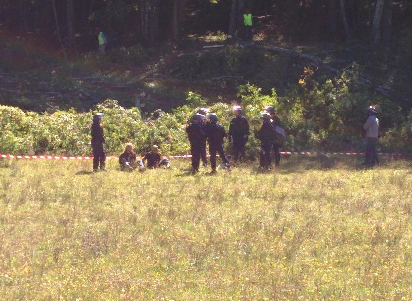 Embedded image permalink