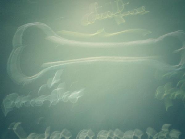 htthexugo's tweet image. Po esse "osso" que a professora fez parece um penis