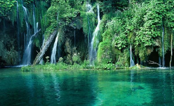 Green Forest Waterfall, Croatia #travel