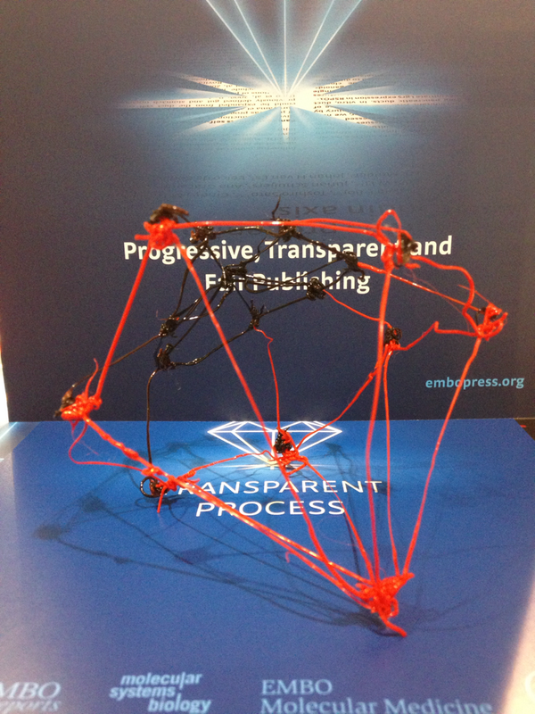 EMBOPress's tweet image. Our 3D drawing competition is hotting up at Booth 37. The #transparentprocess diamond in 3D! #FEBSEMBO2014