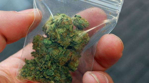 Polémica en Estados Unidos: una marca de ropa regala 3,5 gramos de marihuana por cada compra infob.ae/1u9EF5A