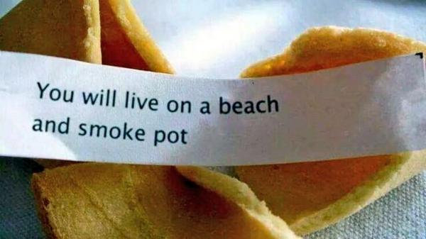 artofmaryjane's tweet image. FORTUNE COOKIE: YOU WILL LIVE ON THE BEACH &amp;amp; SMOKE POT
(HAPPY LABOR DAY)