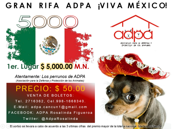 AdpaRosalinda tweet picture