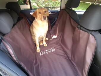 dogsfactory's tweet photo. @compraventapue siguen las lluvias y quieres llevar a pasear a tu perro ,usa nuestro protector solo$490,por fa Rt http://t.co/YJkUJ59sVp
