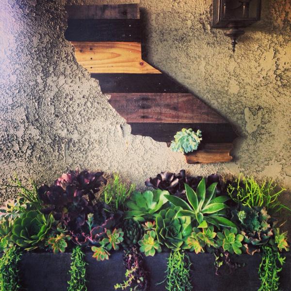 naturescut's tweet photo. This is what living in California is supposed to look like http://t.co/Ibc8Ux3pAl
