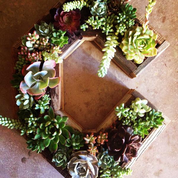 naturescut's tweet photo. Any letter of the alphabet is yours. Spell out your name, your business, or ask someone to marry you! http://t.co/7i6pD8dRGP