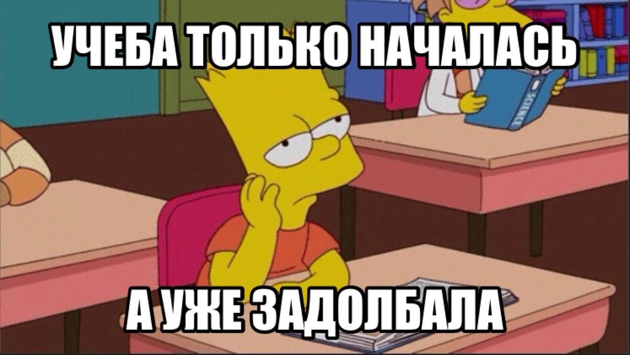 Учеба смешные картинки с надписями, именины