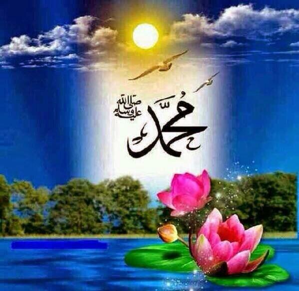 IhagaA's tweet photo. ان الله وملائكته يصلون على النبي

يا ايها الذين امنوصلو عليه وسلمو تسليما http://t.co/zrytLdojRb