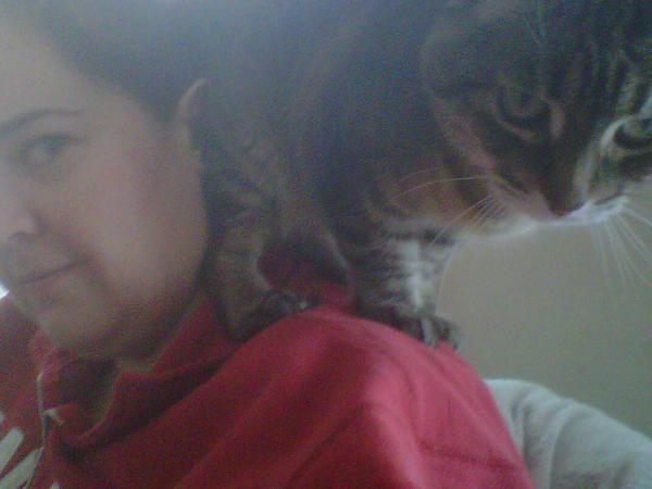 KChamaillard's tweet photo. #catlove http://t.co/rijoNOrqVs