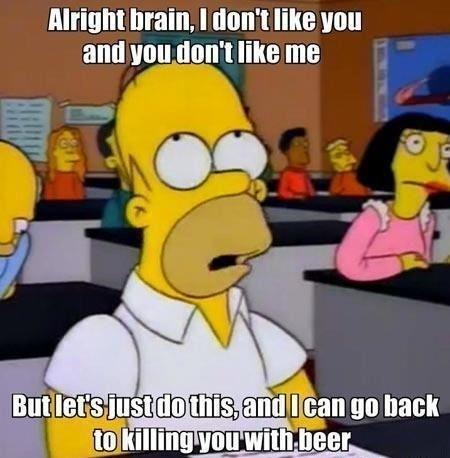 Image result for alright brain i don t like you simpsons