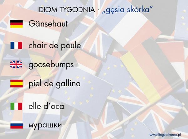 linguahouse's tweet photo. Idiom tygodnia w 6 językach! - "gęsia skórka" http://t.co/lSl9NQe5bC