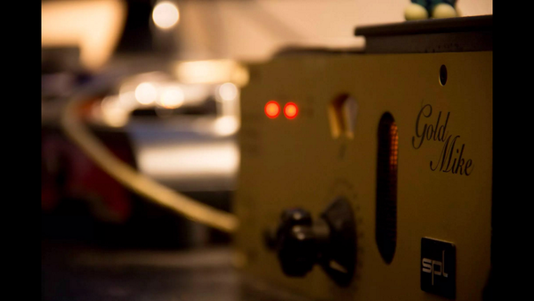 brain-on-a-stick tweet media