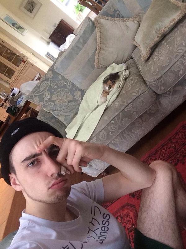 httpuniversaI's tweet image. when your cat dies in front of you