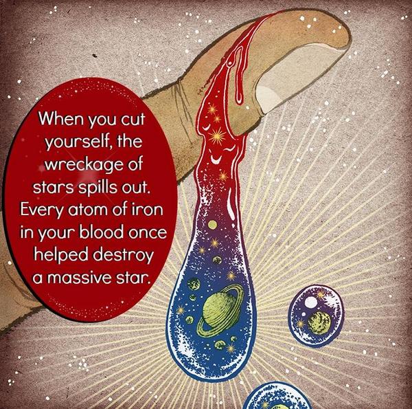 Science_Zone's tweet photo. Every drop of blood. http://t.co/Oz639swK72