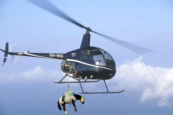 sunnyYNWA96's tweet photo. Breaking news... West Ham accept undisclosed bid from newcastle for andy carrol. http://t.co/tmlogQLBjD