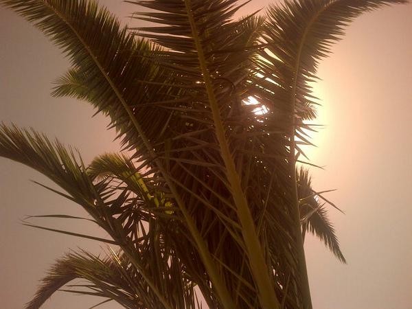 letiroux's tweet image. Seek and hidden. #surf #diyfilter