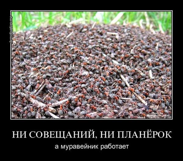 ValerijsFfw's tweet photo. http://t.co/XsxzycOrUh