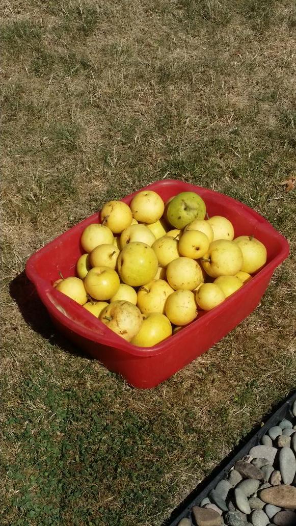 Wavell Mead tweet media